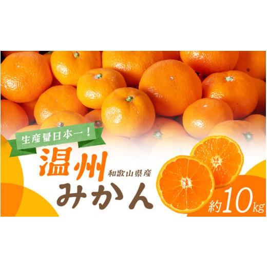 ふるさと納税 和歌山県 すさみ町 先行予約 和歌山の美味しい 温州みかん 約10kg みかん …