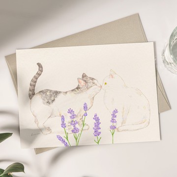 明信片 貓與薰衣草