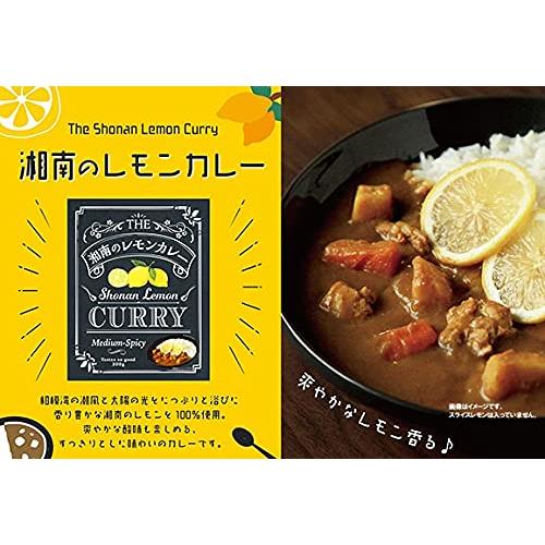 湘南のレモンカレー 中辛 200ｇ