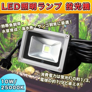 高輝度 Led 照明 ランプ k 10w サンゴ 水草 熱帯魚 海水魚 飼育 アクアリウム 水槽 投光器 防水 100v 通販 Lineポイント最大1 0 Get Lineショッピング