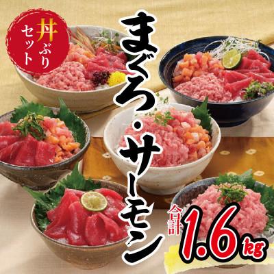 ふるさと納税 泉佐野市 マグロ・サーモン丼ぶりセット1.6kg 015B043