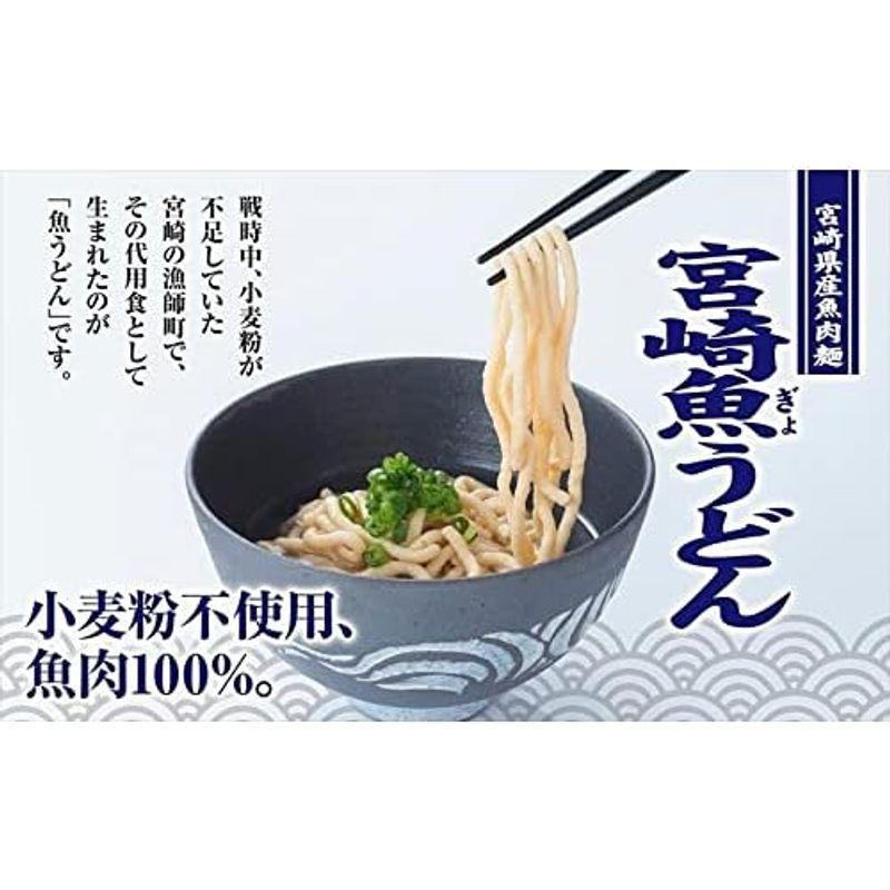 器 宮崎魚うどん 240g ×