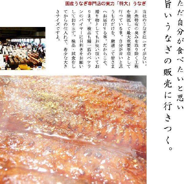 お歳暮 ギフト 食べ物 土用の丑　国産うなぎ蒲焼170g前後×1尾 送料無料