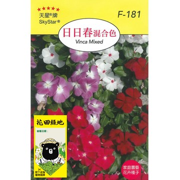 花田綠地種子-日日春混合色