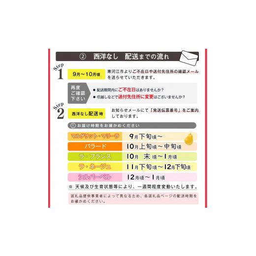 ふるさと納税 山形県 寒河江市 洋梨 「追熟 ラ・フランス」 5kg（14〜18玉） 令和5年産 山形県産　018-B-MM026