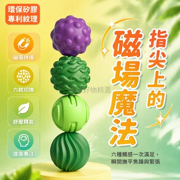 台灣出貨✨ 感官磁力球 矽膠巴克球 專注力訓練豆 減壓解悶玩具 ADHD舒緩石