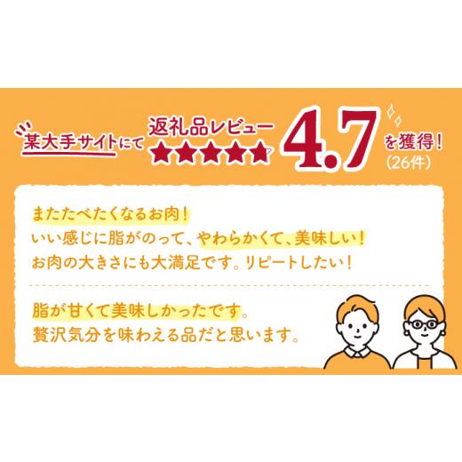 ふるさと納税 佐賀県 嬉野市  3月発送 佐賀牛 ロース ステーキ 200g  NAB003