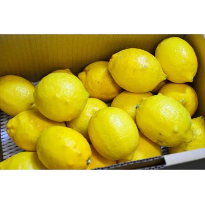 ふるさと納税 湯浅町 [和歌山県産](5kg)完熟レモン!皮までご使用いただける栽培期間中低農薬!
