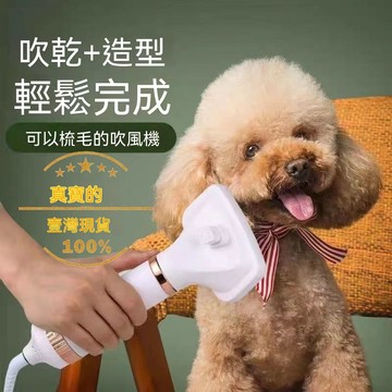 現貨+隔日達✨ 寵物吹風機 狗狗吹風機 懶人吹風機 狗狗梳毛器 寵物吹毛梳 寵物吹水機 寵物烘毛梳 寵物吹風機美容專用
