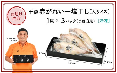 干物 セット 赤がれい 一塩干し 大サイズ （1尾 × 3パック入り）1尾約170g [e04-a091]