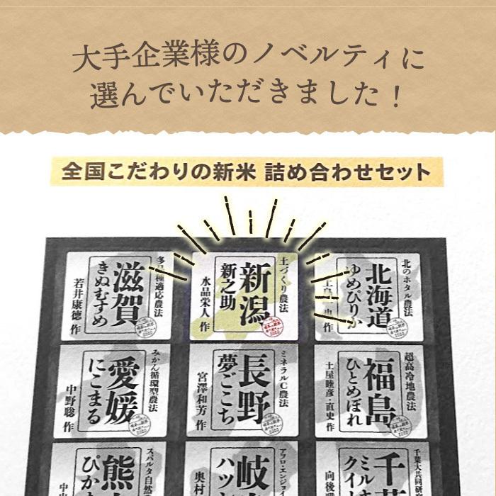 無洗米 新潟県産 新之助 白米 精米 2kg 令和5年産 新米 しんのすけ 2キロ 農家直送 お米