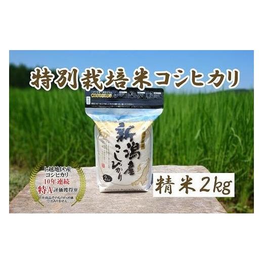 ふるさと納税 新潟県 上越市 令和5年産｜新潟上越三和産｜特別栽培米コシヒカリ（従来種）2kg（2kg×1）精米