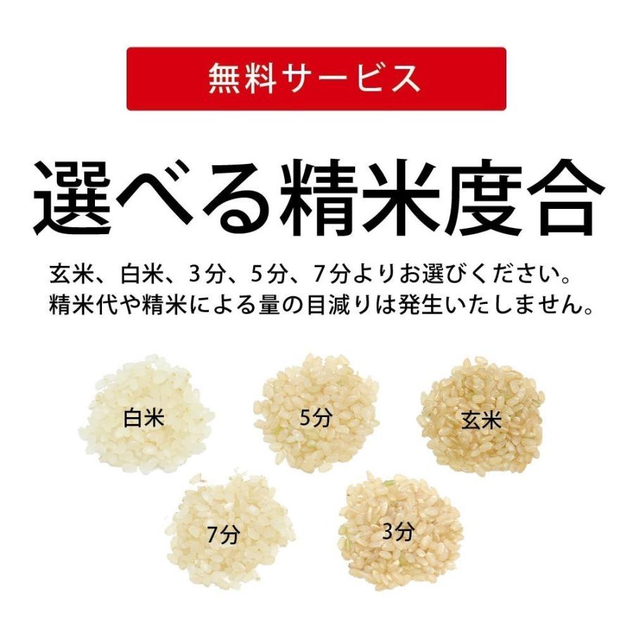 藤原勝義さんの自然栽培米   ササニシキ   無農薬栽培米   熊本阿蘇産   令和5年度産