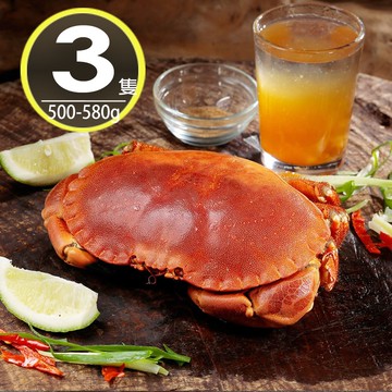 【華得水產】英國野生爆卵麵包蟹3隻(500-580g/隻)