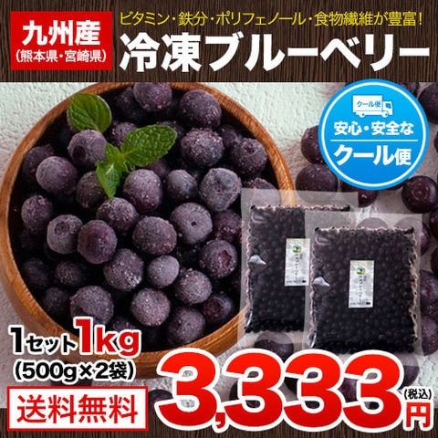 冷凍ブルーベリー 九州産 冷凍 ブルーベリー 1kg 500g×2袋 送料無料 サイズ不選別 フルーツ 果物 取り寄せ 通販 《7-14営業日以内に出荷予定(土日祝日除く)》