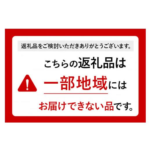 ふるさと納税 秋田県 横手市 しいたけ A級品 Lサイズ 約1.2kg(約150g(6個入)×8パック)