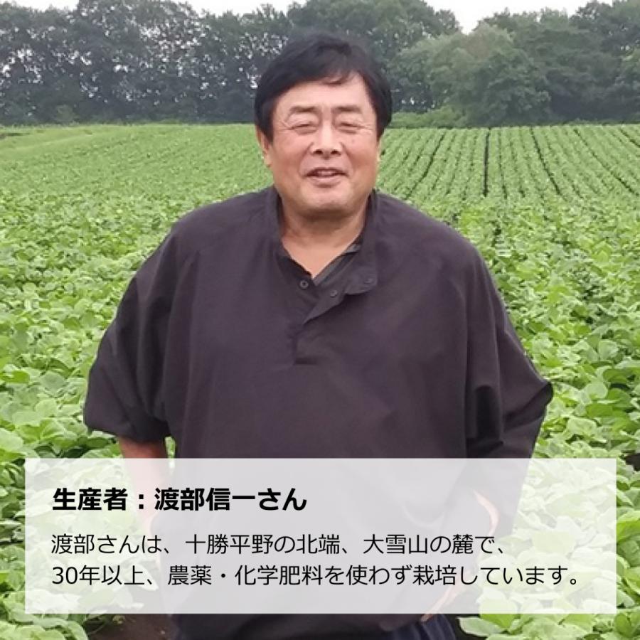 北海道産 無農薬 小豆・黒豆 渡部信一さんの小豆約3kg（約1kg×3個）＋黒豆約3kg（約1kg×3個） 無農薬・無化学肥料栽培30年の美味しい小豆と黒豆