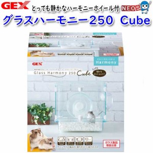 GEX グラスハーモニー250 Cube