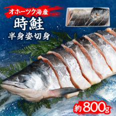 北海道オホーツク産　時鮭　半身姿切身　約800g(800g×1パック)