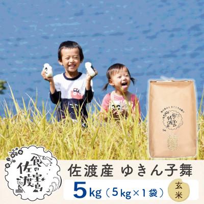 ふるさと納税 佐渡市 佐渡島産ゆきん子舞 玄米5Kg