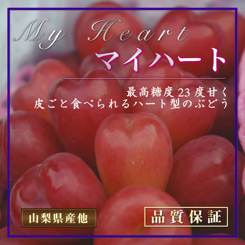 [最短順次発送]  マイハート 2房 約 600g 約 300g 房 山梨県 長野県 大粒 シャインマスカット 夏ギフト 夏ギフト お中元 御中元