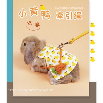 【台灣現貨】兔子牽引繩 兔兔牽帶 兔子衣服 小寵牽引帶 兔子牽引繩 垂耳兔 牽引繩 小寵牽引繩 寵物兔外出 牽引帶