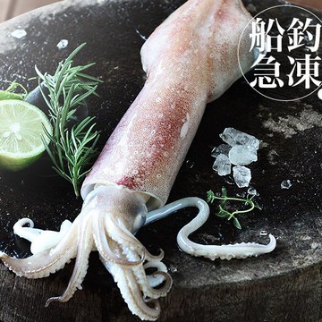 南海豐【船釣！活凍透抽】單尾急凍高品質/船上急凍透抽，海上先生嚴選，鮮美透亮 /海鮮食材宅配 透亮軟體