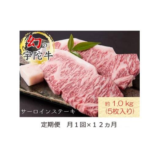 ふるさと納税 奈良県 宇陀市 定期便 １２ヶ月 宇陀牛 黒毛 和牛 サーロイン ステーキ 約 1kg ５枚入 冷蔵 月１回 ／ 山繁 ふるさと納税 新鮮 牛 肉 キャン…