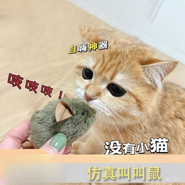 【24時熱賣】[]貓抓闆 貓抓墊  貓咪玩具 貓爬架 貓咪毛絨玩具小老鼠電子發聲玩具自嗨解悶互動逗貓抓老鼠互動玩具 1T