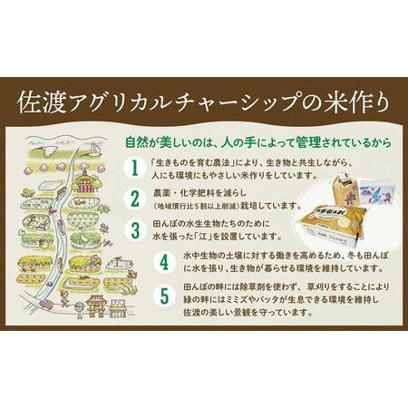 ふるさと納税 佐渡島産 特別栽培米こしひかり「大野郷の米」精米5kg×12回 定期お届けコース 新潟県佐渡市