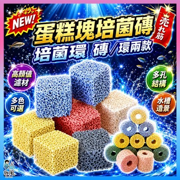 台灣免運出貨【蛋糕塊培菌磚/環】培菌彩色魔方|硝化菌球環 魚缸造景 水族造景 圓桶過濾 陶瓷環 濾材 培菌培菌磚 魚缸