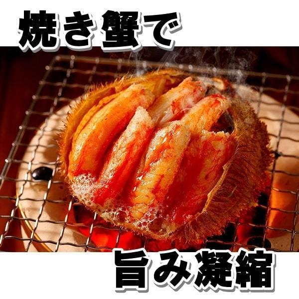 毛ガニ ５００g   １尾 北海道産 生食用 ボイル  堅蟹 身入り しっかり 焼きガニ