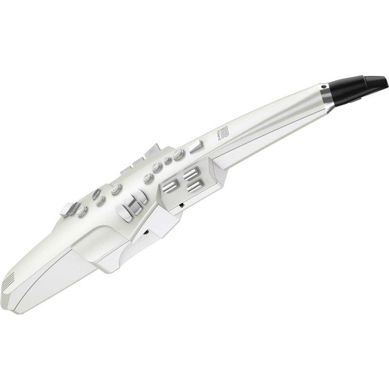 Roland ローランド Aerophone AE-10 エアロフォン