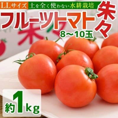 フルーツトマト 朱朱 LLサイズ (計1kg・8-10玉)