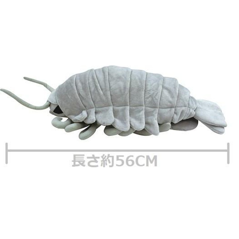 Sea Creatures BIG ぬいぐるみ ダイオウグソクムシ H15×W23×D56cm 10074 送料無料 | LINEブランドカタログ