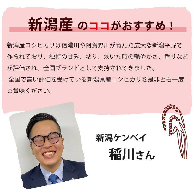 お米 米10kg 送料無料 無洗米 吟精 新潟産コシヒカリ 10kg(5kg×2)