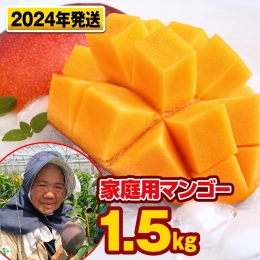 芳醇な香り　とろける食感　家庭用マンゴー1.5kg