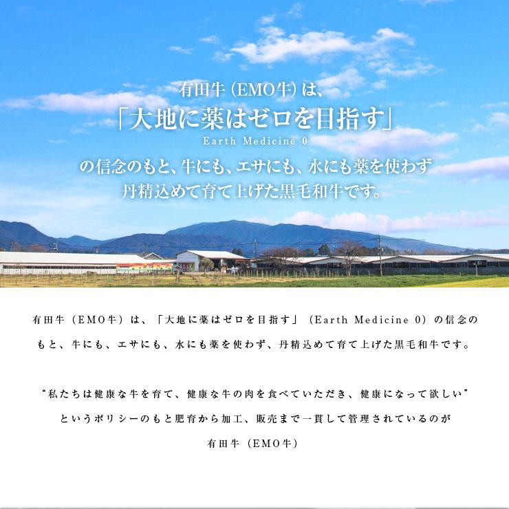 EMO牛 有田牛 焼肉用 ロース500ｇ 冷凍 国産牛 牛肉 宮崎県産 黒毛和牛 ホルモン剤不使用 抗生物質不使用