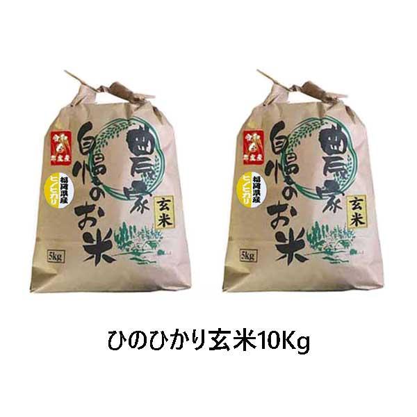 玄米 ひのひかり 10kg (5kg×2袋) ]　令和5年産  福岡県産  農家直送  送料無料　新米