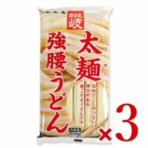 さぬきシセイ 讃岐太麺強腰うどん 600g × 3袋