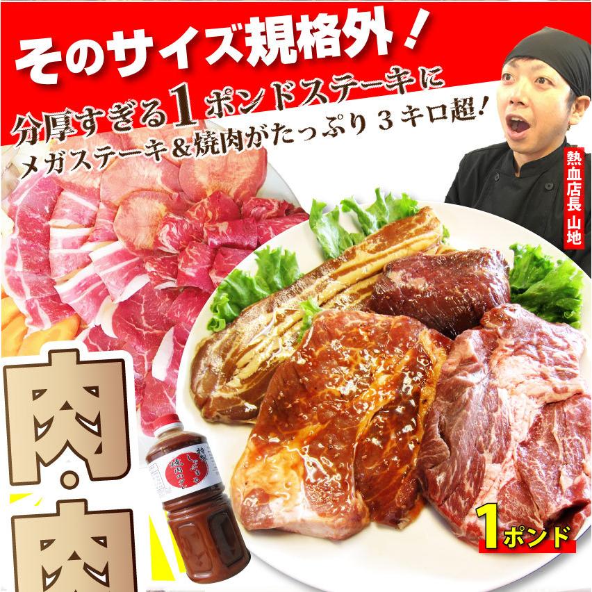 牛肉 肉 ステーキ＆焼肉 BBQ ギガ盛り 3kg超 福袋 肉祭り セット タレ ハサミ トング トレー付き お歳暮 ギフト 食品 キャンプ キャンプ飯