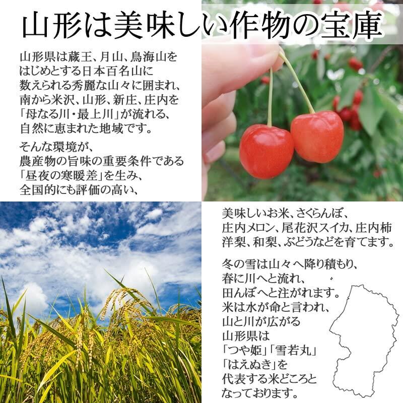 山形県産 あきたこまち 5kg 紙袋 令和4年度産 (白米 4.5kg)