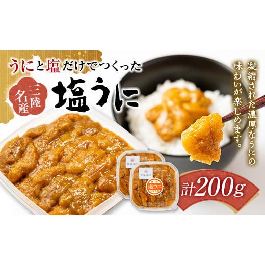 ふるさと納税 岩手県 山田町 岩手県 菅原商店 うにと塩だけで作る 塩うに 100g 2個セット YD-356