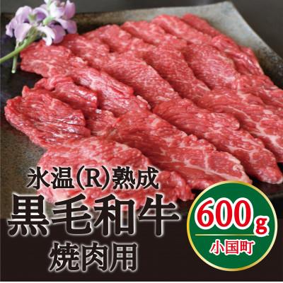 ふるさと納税 小国町 氷温(R)熟成の黒毛和牛 焼肉用 600g(小国町)