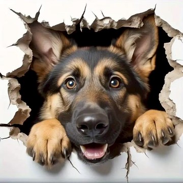 汽車貼紙劃痕遮擋遮3d立體牧羊犬貼紙 新款 老虎汽車貼紙 電動車貼紙 摩托貼紙 墻面貼花貼紙 汽車裝飾貼 汽車趣味貼紙