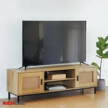 【RICHOME】布萊恩雙門電視櫃