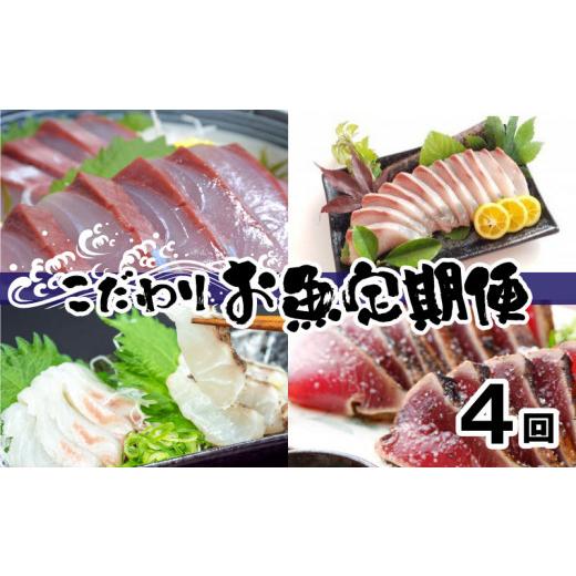 ふるさと納税 高知県 須崎市 こだわり お魚 定期便 4回 コース