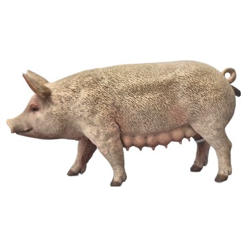 COLLECTA 動物模型玩具 3歲以上  母猪  1個
