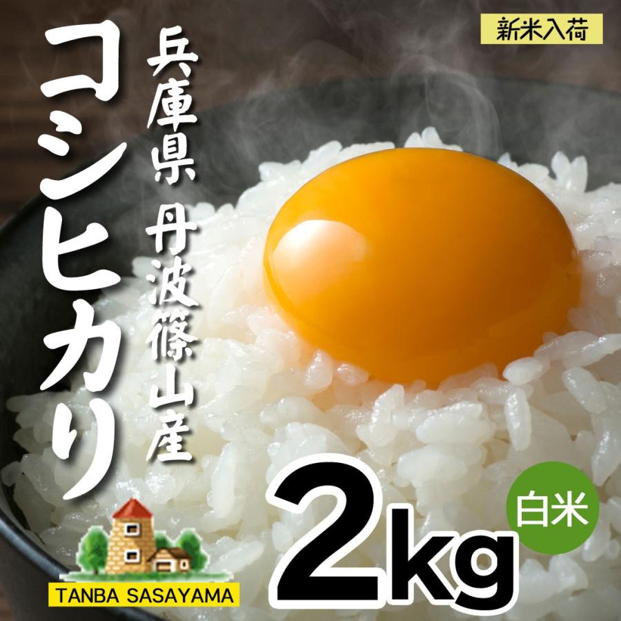 丹波 コシヒカリ こしひかり 令和5年産 新米 白米 丹波篠山産 2kg