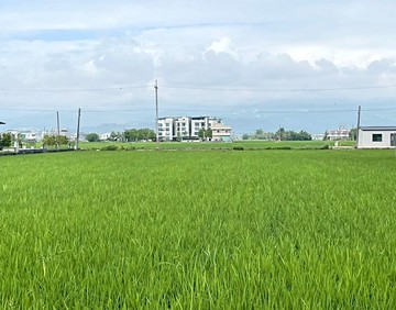 壯圍~近交流道~美城美城雙面路805農地~喻婍霖｜宜蘭縣壯圍鄉美城段